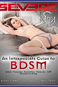 Kink School: Guía Intermediata de BDSM