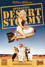 Operation: Desert Stormy